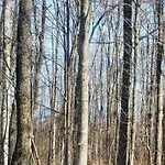 Sweet Woods Hill