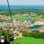 Wintergreen 218