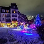 Wintergreen 218