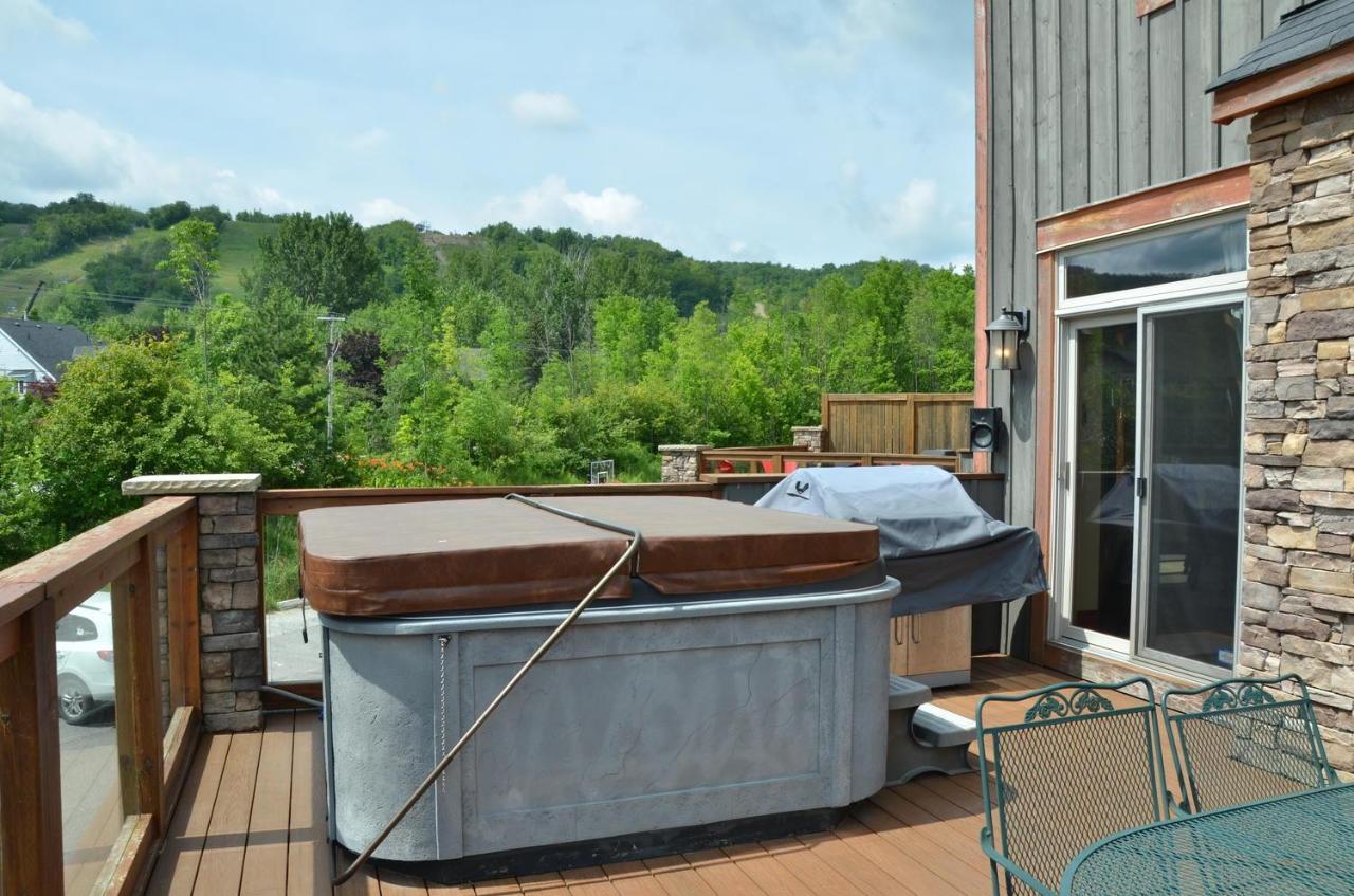 Blue Mountain-luxurious Blueski George Chalet, Hot Tub, Pool, Gas Fireplace * Blue Mountains
