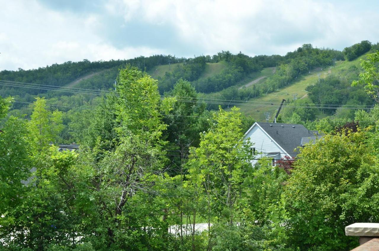 Blue Mountain-luxurious Blueski George Chalet, Hot Tub, Pool, Gas Fireplace Chalet Blue Mountains