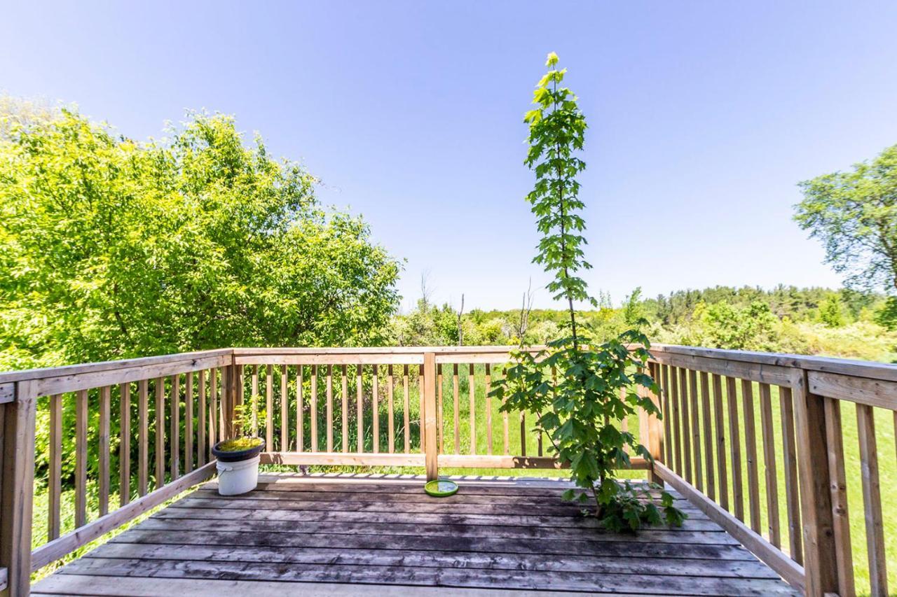 Northview-blue Mountain-sauna-firepit-balcony-parking Chalet