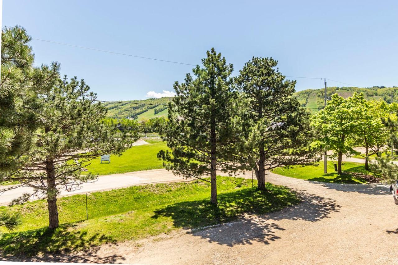 Northview-blue Mountain-sauna-firepit-balcony-parking Chalet *