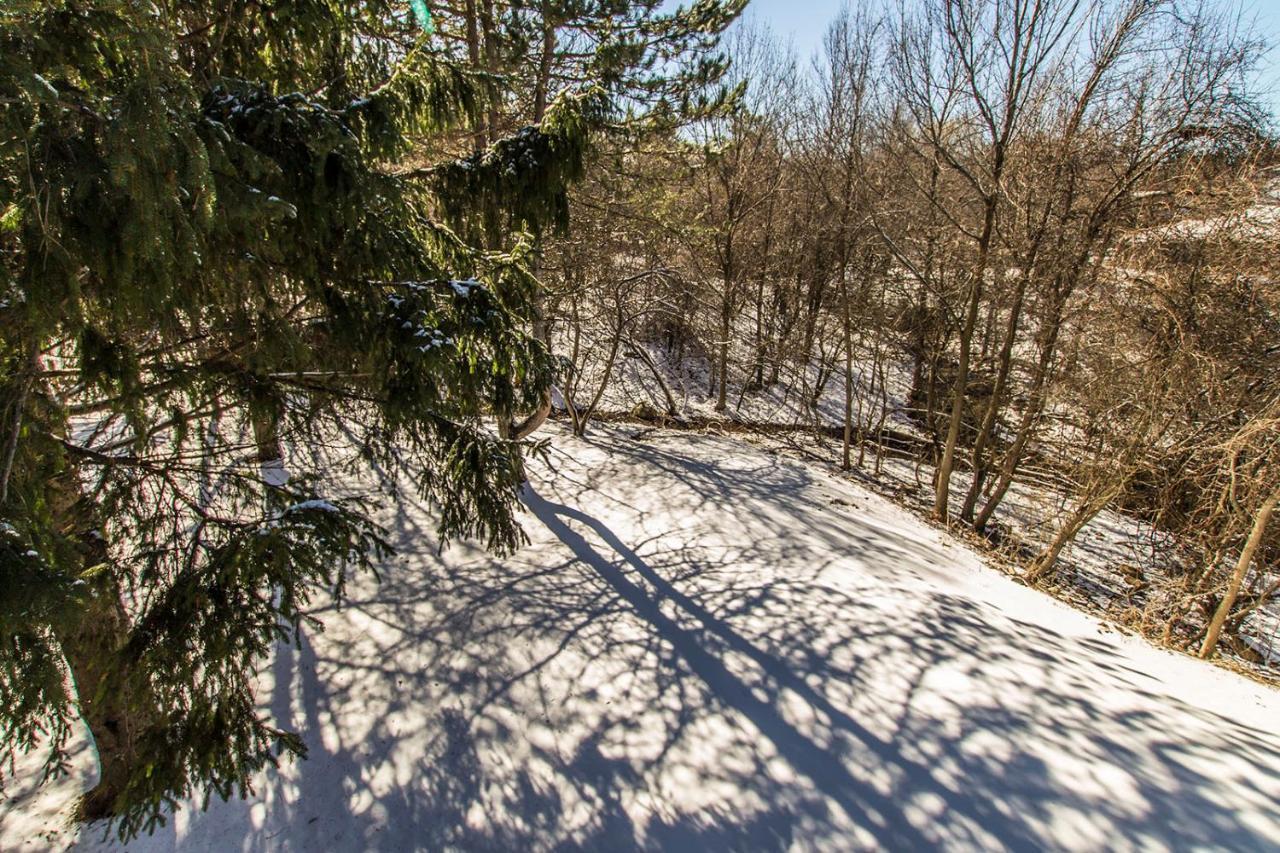 Mountain Trail-smart Tv-self Check-in-full Kitchen-balcony-bbq Blue Mountains
