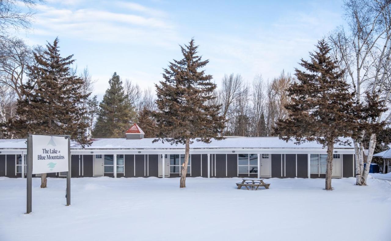4 Bedroom Rustic Chalet Blue Mountains