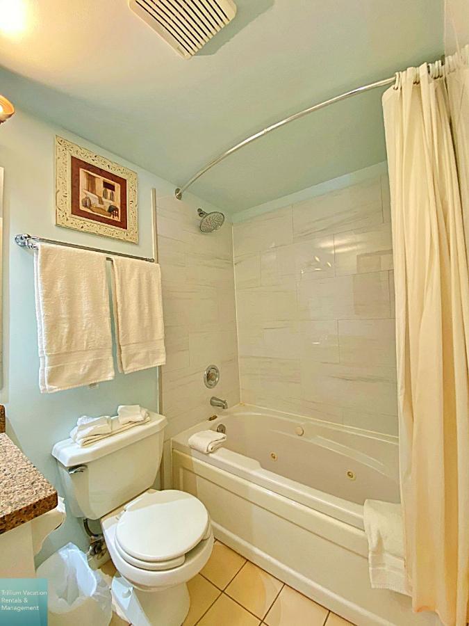 Classy Mountainside Studio *