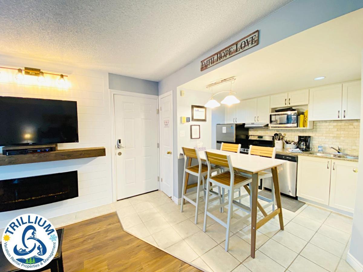 Slopeside Blue Mountain - Wifi, Linens/towels, In/out Holiday home Blue Mountains