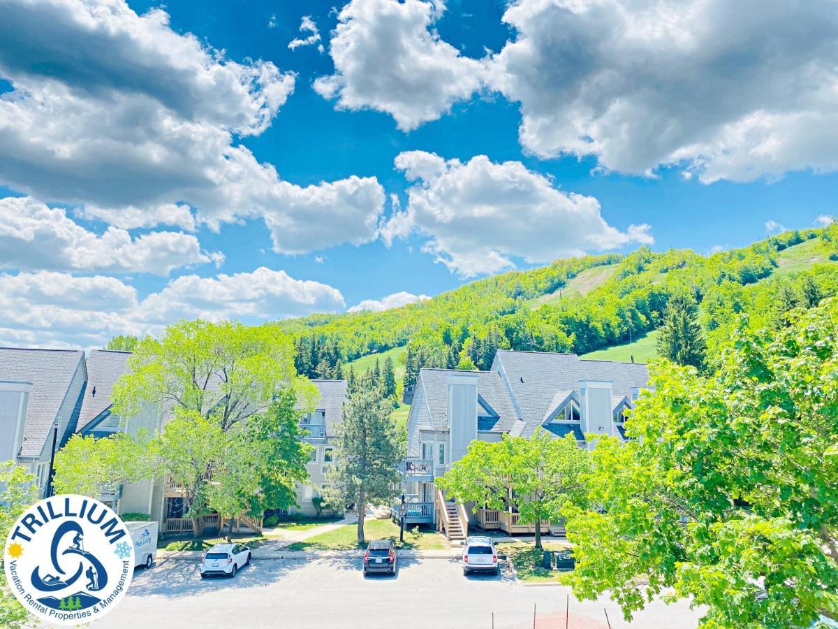 Blue Mountain Suites Lodge *