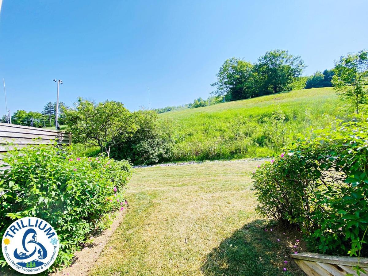 Chateau Blue - Mountain View, Steps To The Village, Wifi, Linens/towels, Bbq