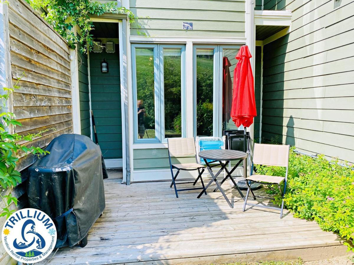 Chateau Blue - Mountain View, Steps To The Village, Wifi, Linens/towels, Bbq Chalet