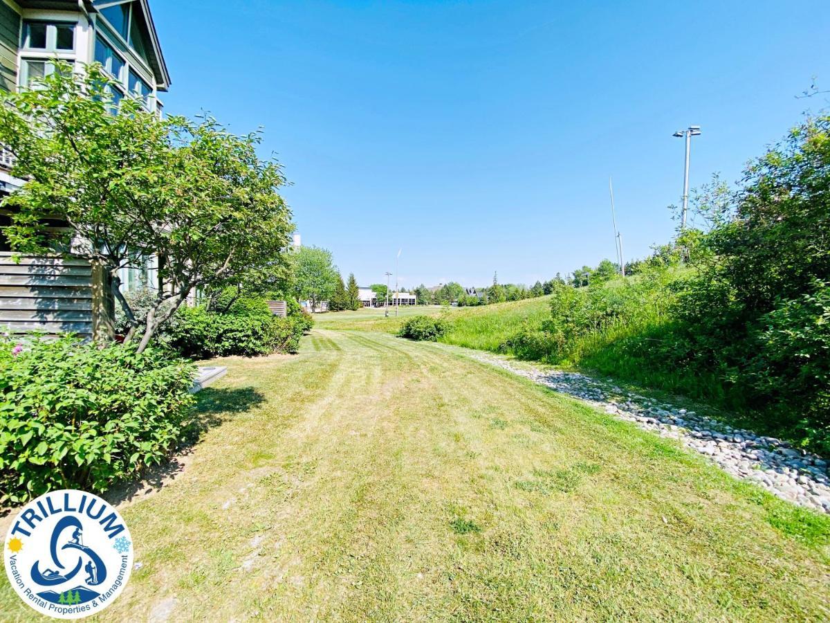 Chalet Chateau Blue - Mountain View, Steps To The Village, Wifi, Linens/towels, Bbq