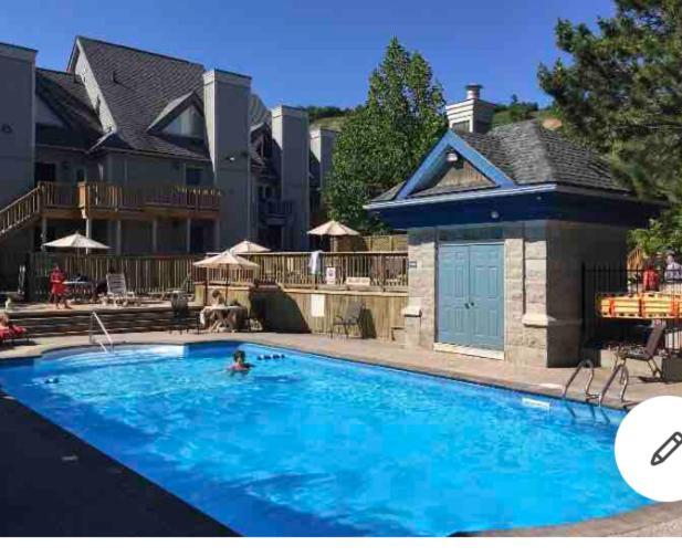 Blue Mountain Oasis * Blue Mountains