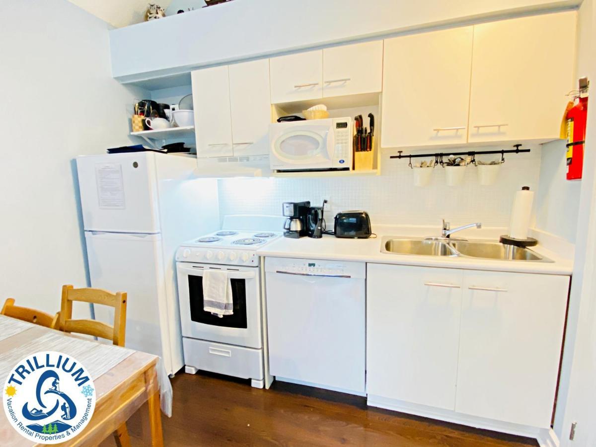 Cozy Loft With 2 Baths Next To Slopes Apartment Blue Mountains