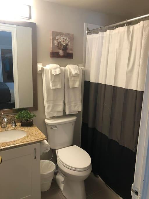 Freshly Upgraded Cozy @ North Creek Blue Mountains