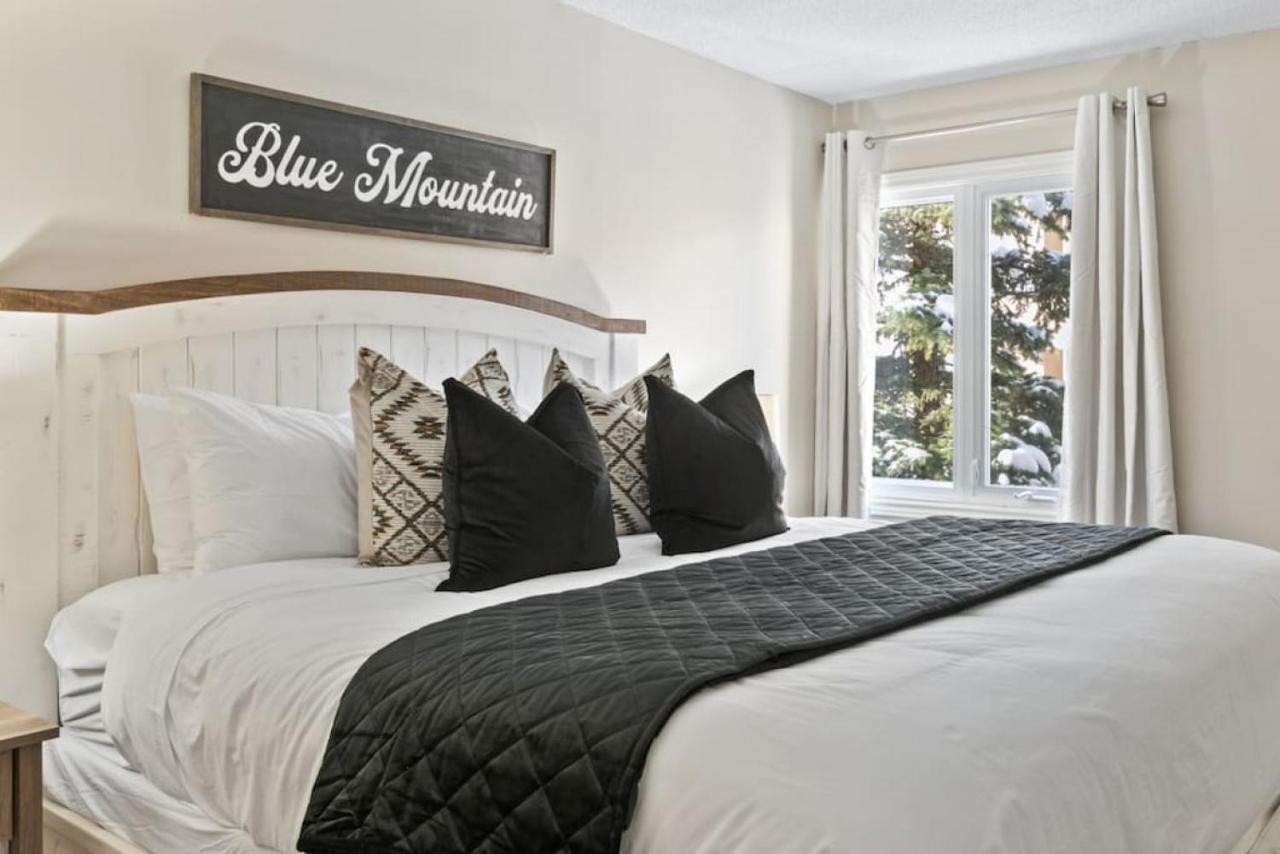 Blue Mountain With Amazing Location Holiday home Blue Mountains