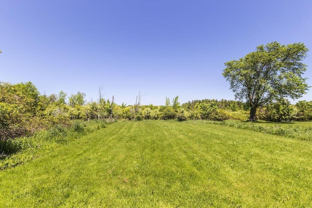 Mountain View-backyard-air-conditioning-bbq-15mins Walk Blue Mountain Village Chalet