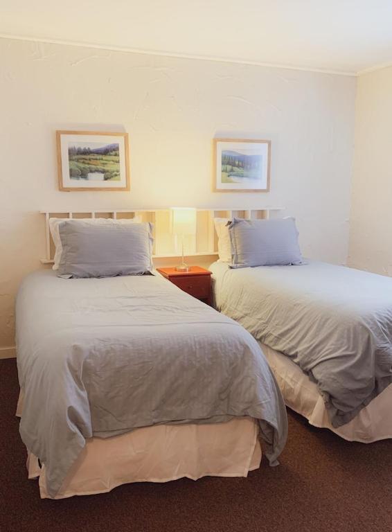 Chalet Mountain View-backyard-air-conditioning-bbq-15mins Walk Blue Mountain Village