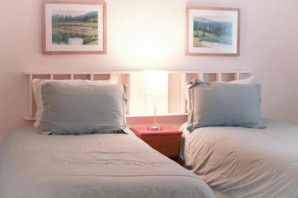Mountain View-backyard-air-conditioning-bbq-15mins Walk Blue Mountain Village Blue Mountains