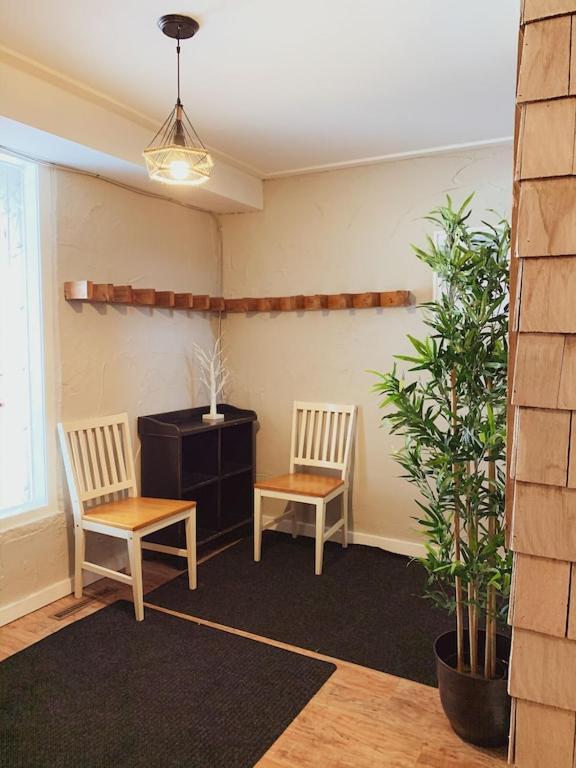 Mountain View-backyard-air-conditioning-bbq-15mins Walk Blue Mountain Village Chalet Blue Mountains