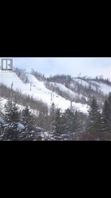 Blue Mountain Escape, Wifi, Base Of North Lift Holiday home *