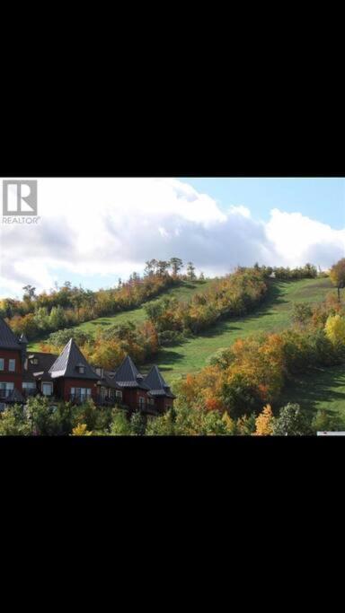 Holiday home Blue Mountain Escape, Wifi, Base Of North Lift Blue Mountains