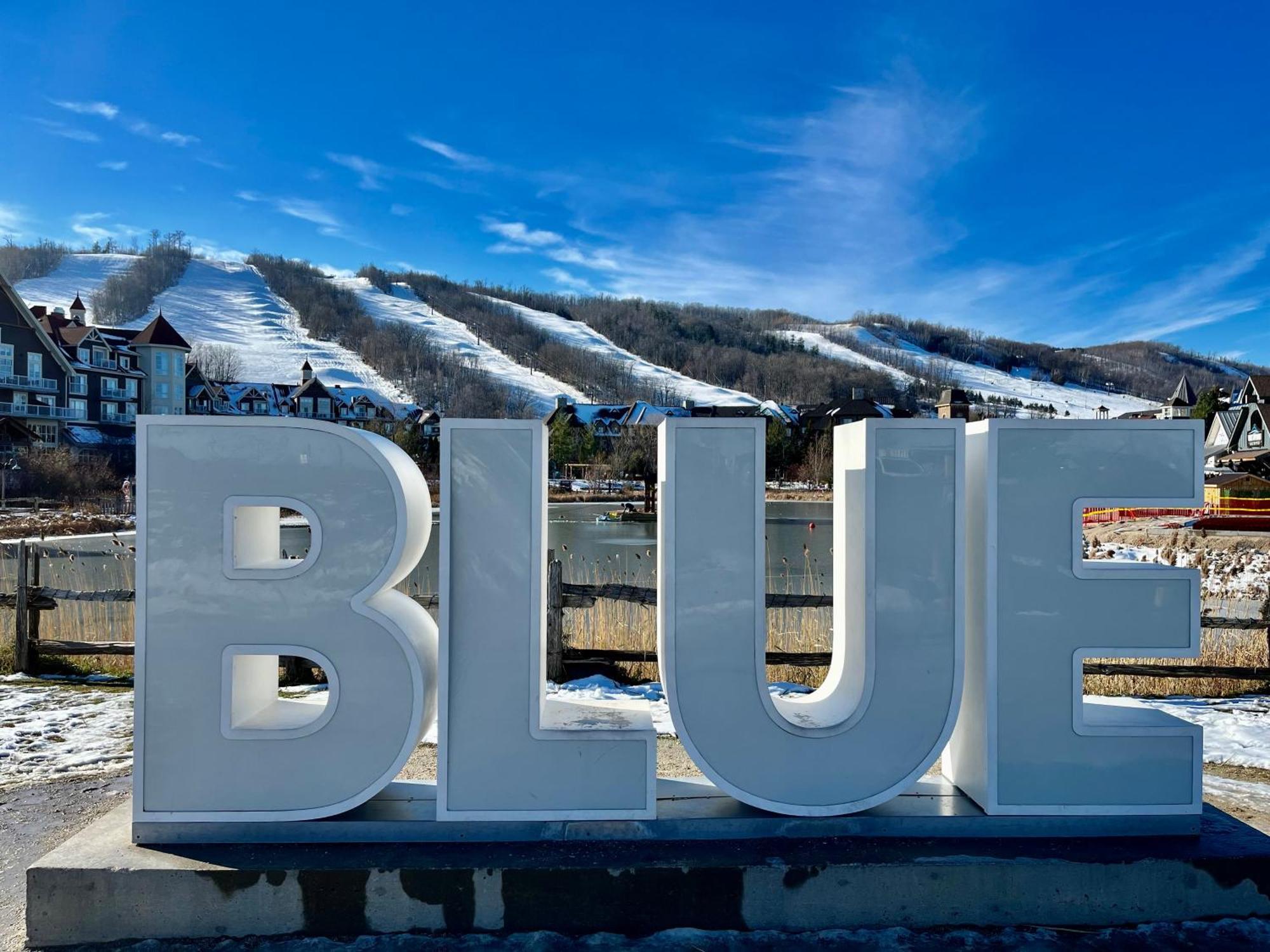 Blue Mountain Oasis Blue Mountains