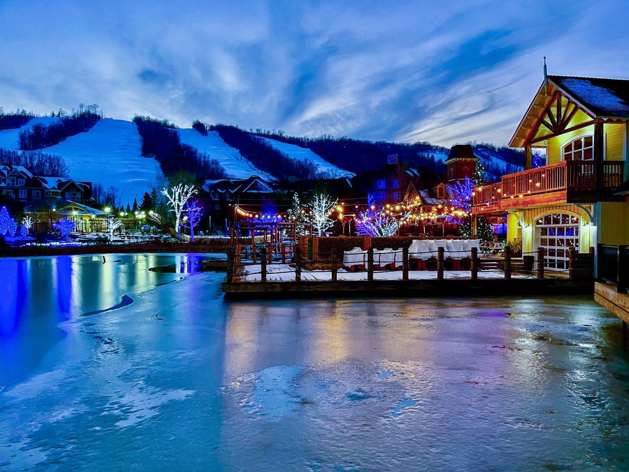 Blue Mountain Oasis *