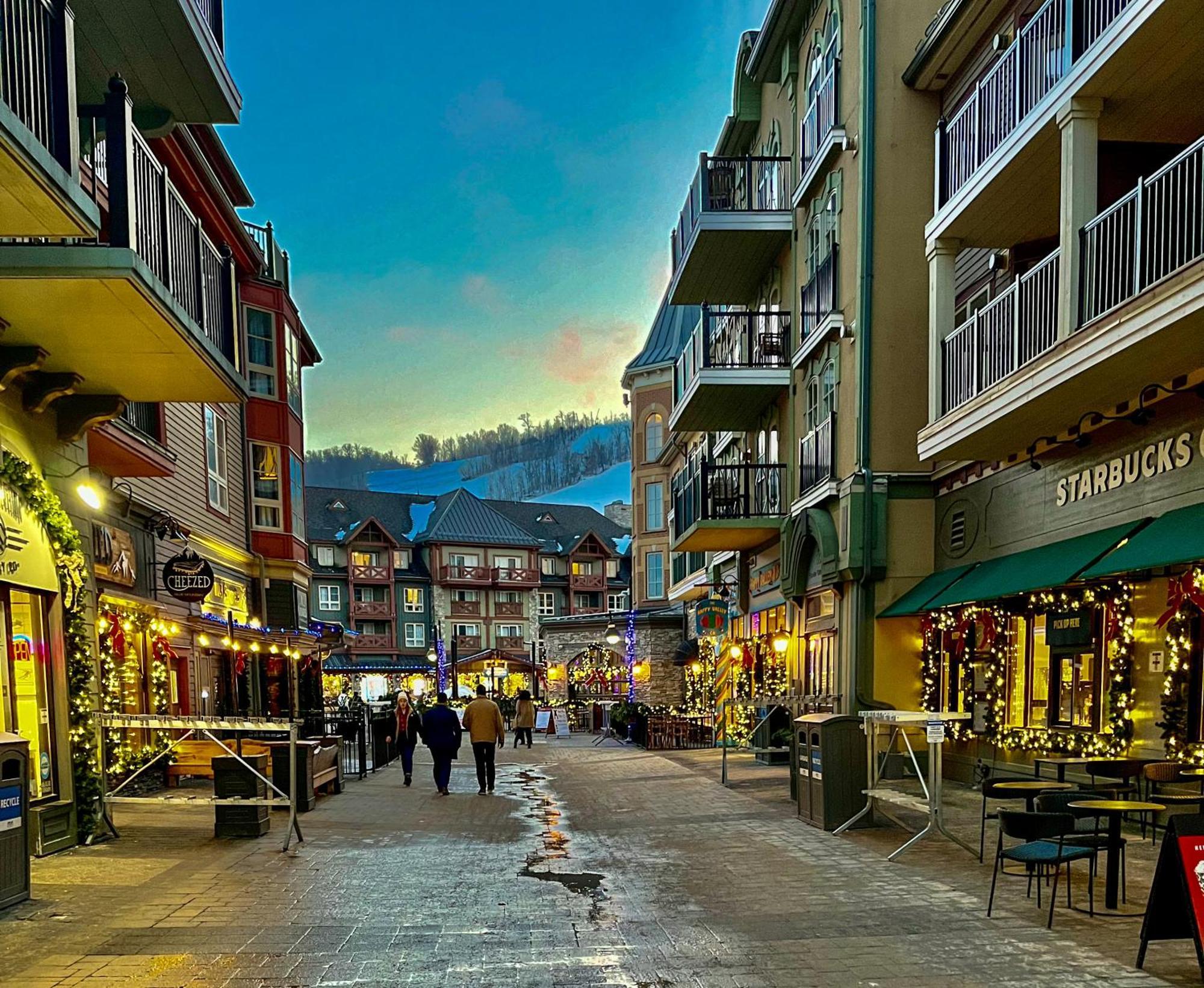 Blue Mountain Oasis *
