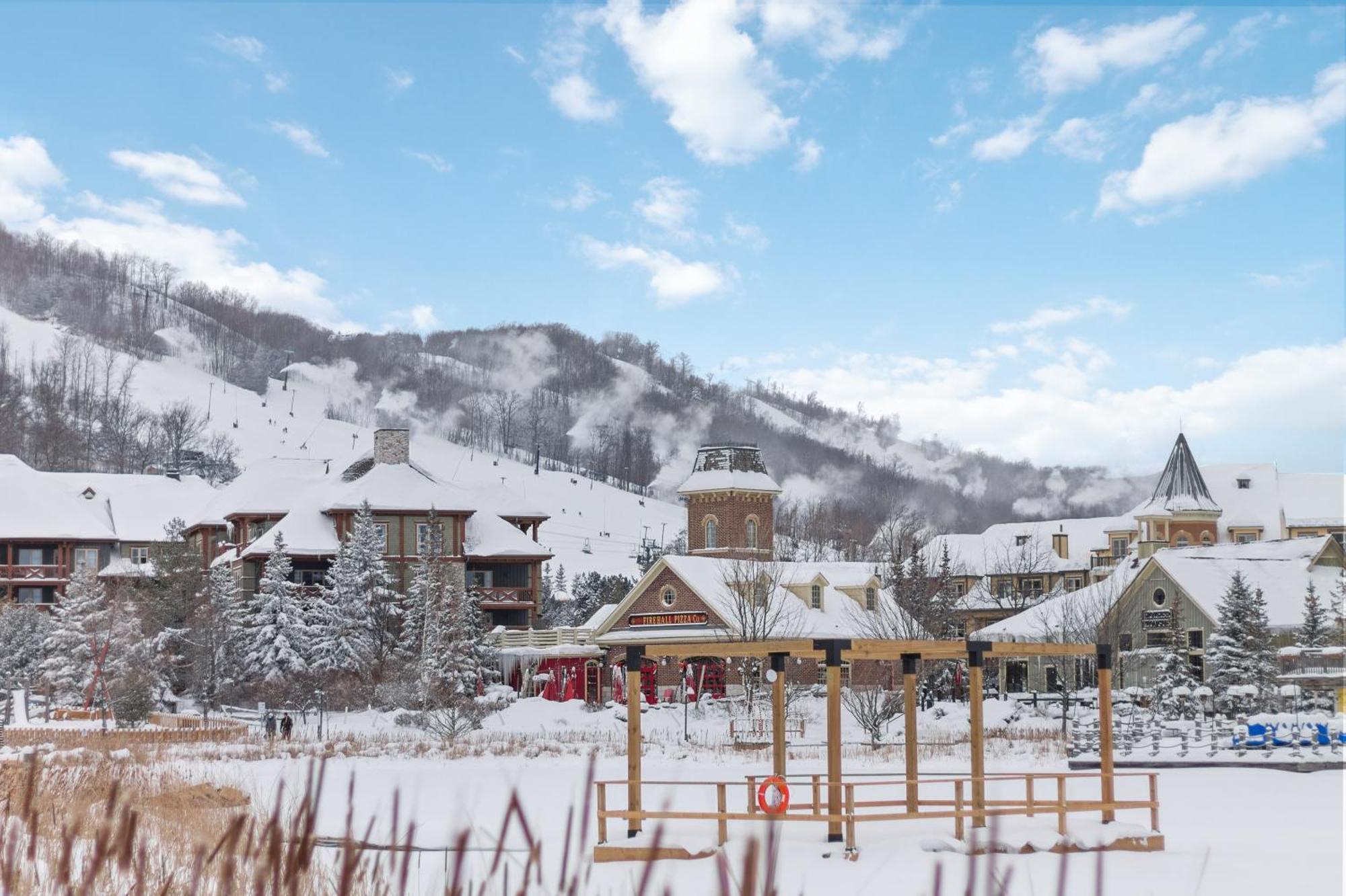 Chalet Blue Mtn With A Sauna, Sleeps 20