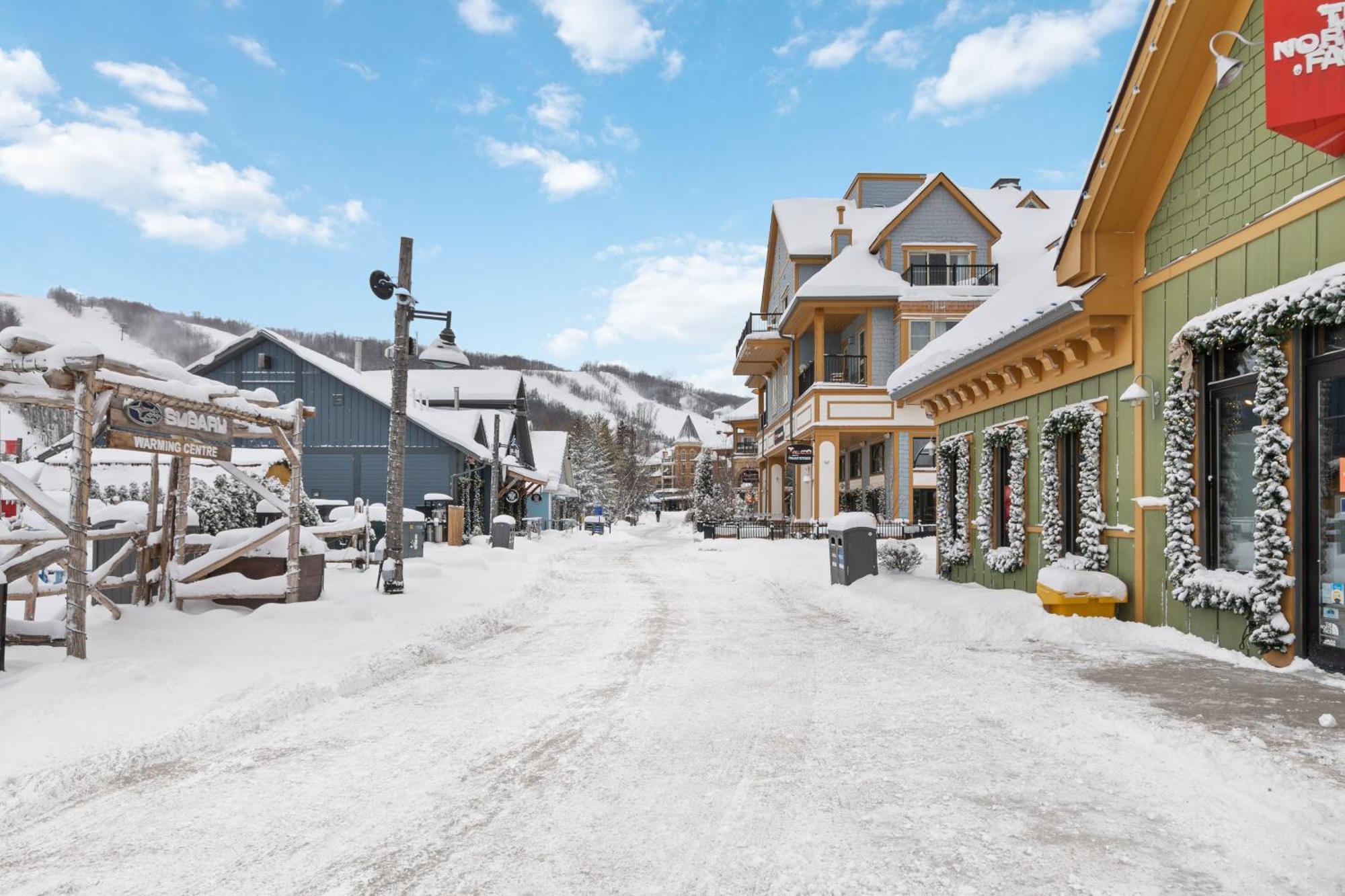 Blue Mtn With A Sauna, Sleeps 20 Chalet Blue Mountains