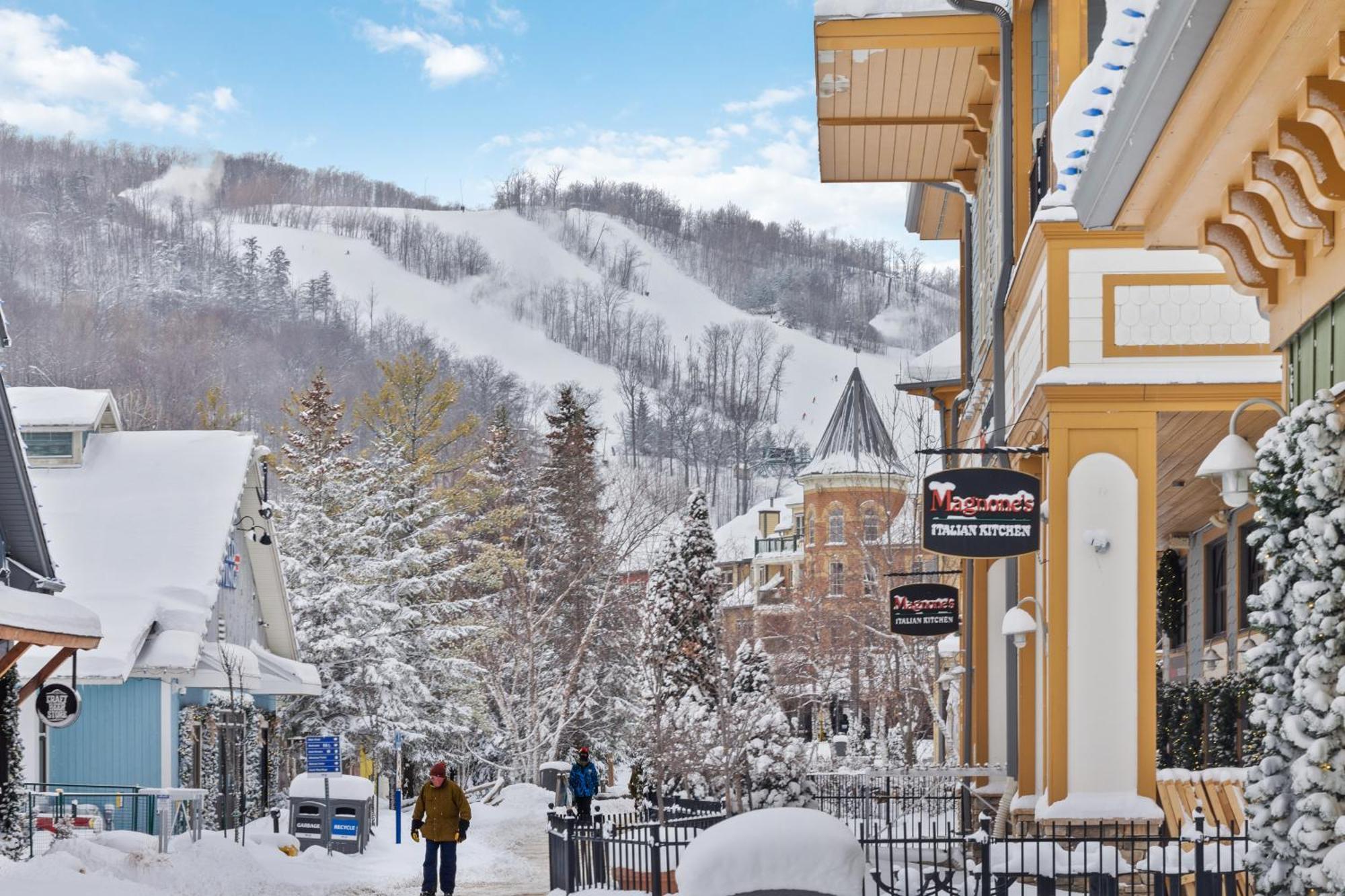Blue Mtn With A Sauna, Sleeps 20 Blue Mountains