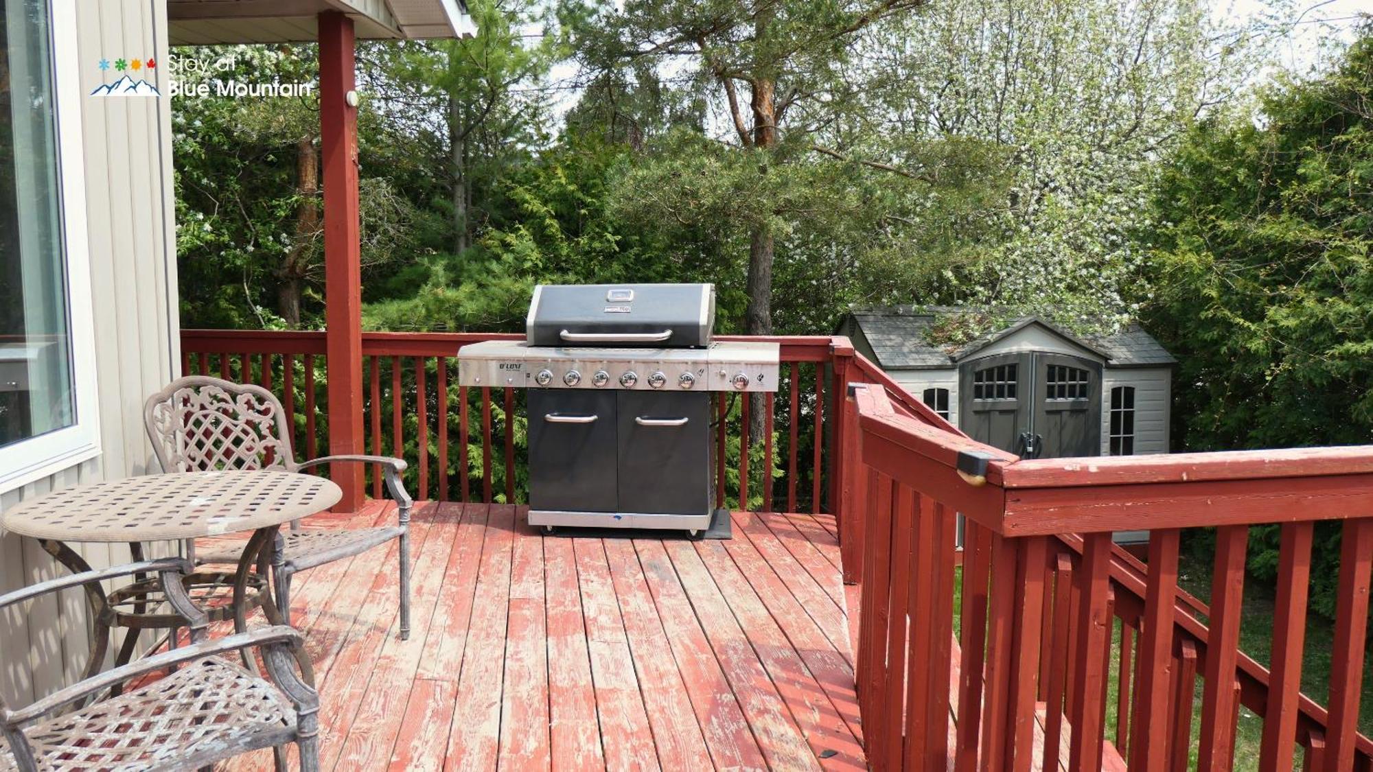 5 Bedrooms, Mountain Views, Steps From Blue Mountain Village, Hot Tub, Bbq Blue Mountains
