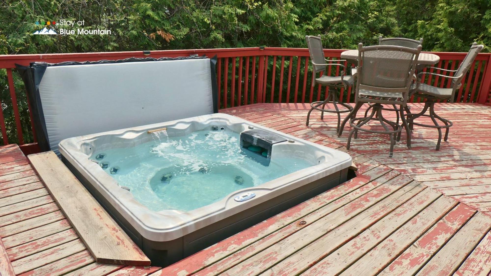 5 Bedrooms, Mountain Views, Steps From Blue Mountain Village, Hot Tub, Bbq Blue Mountains