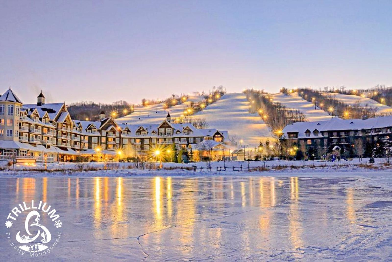 Blue Mountain, Collingwood - Loft Condo, Sleeps 4 Blue Mountains