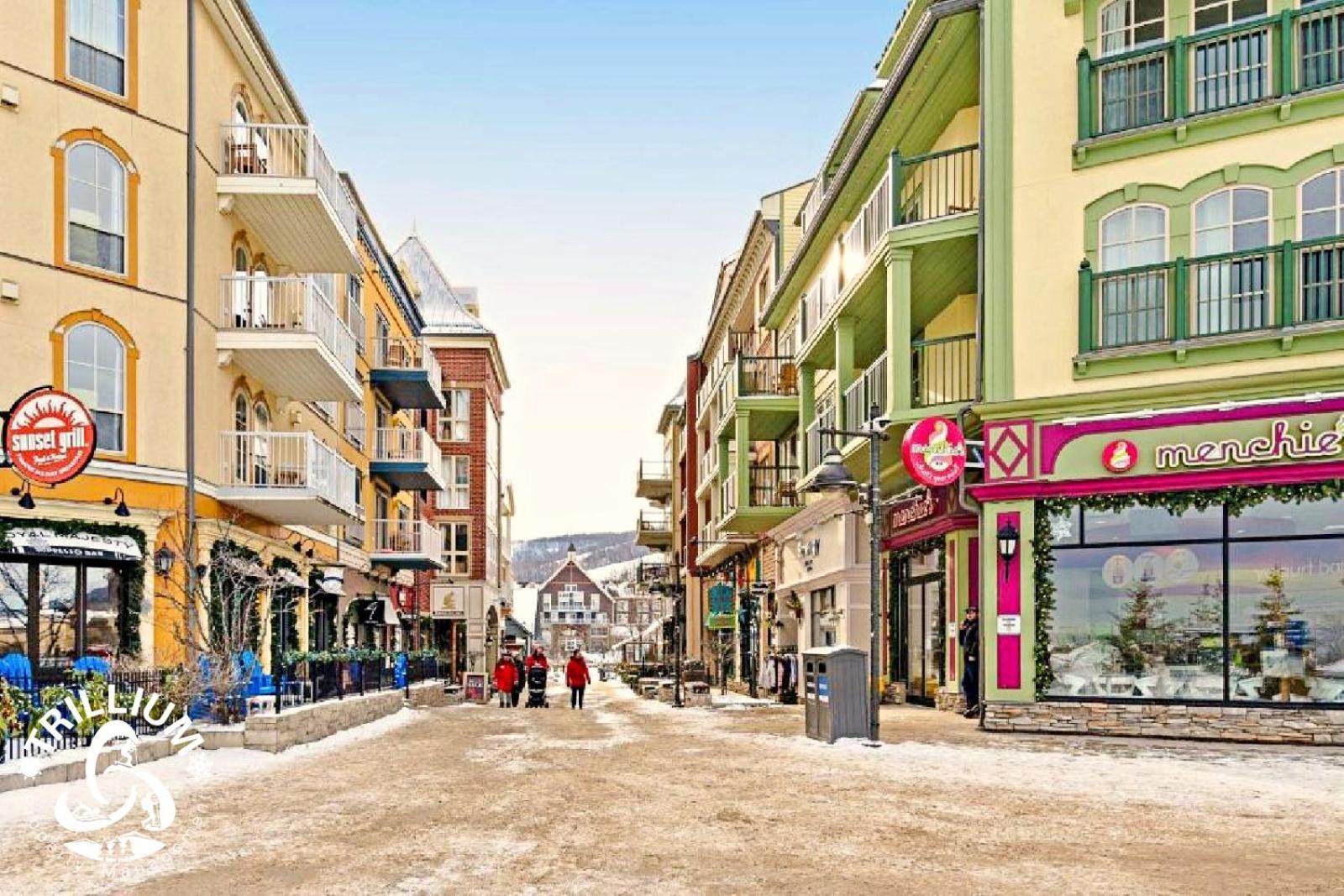 Holiday home Blue Mountain, Collingwood - Loft Condo, Sleeps 4 *