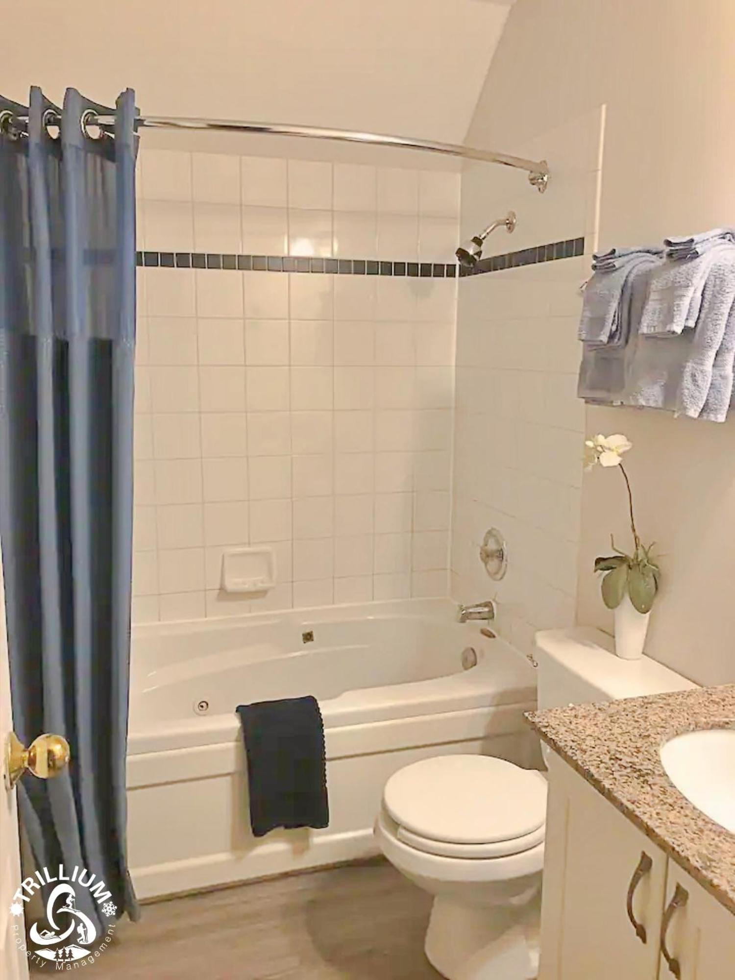 Blue Mountain, Collingwood - Loft Condo, Sleeps 4 Holiday home