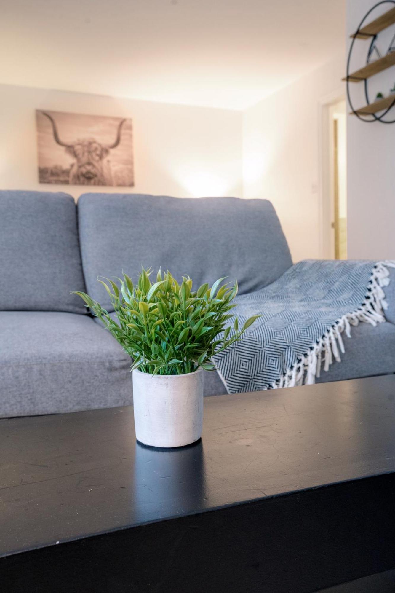 Apartment Trendy Blue Mountain Studio - King Bed, Free Coffee