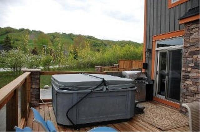 Chalet Blue Mountain-luxurious Blueski George Chalet, Hot Tub, Pool, Gas Fireplace