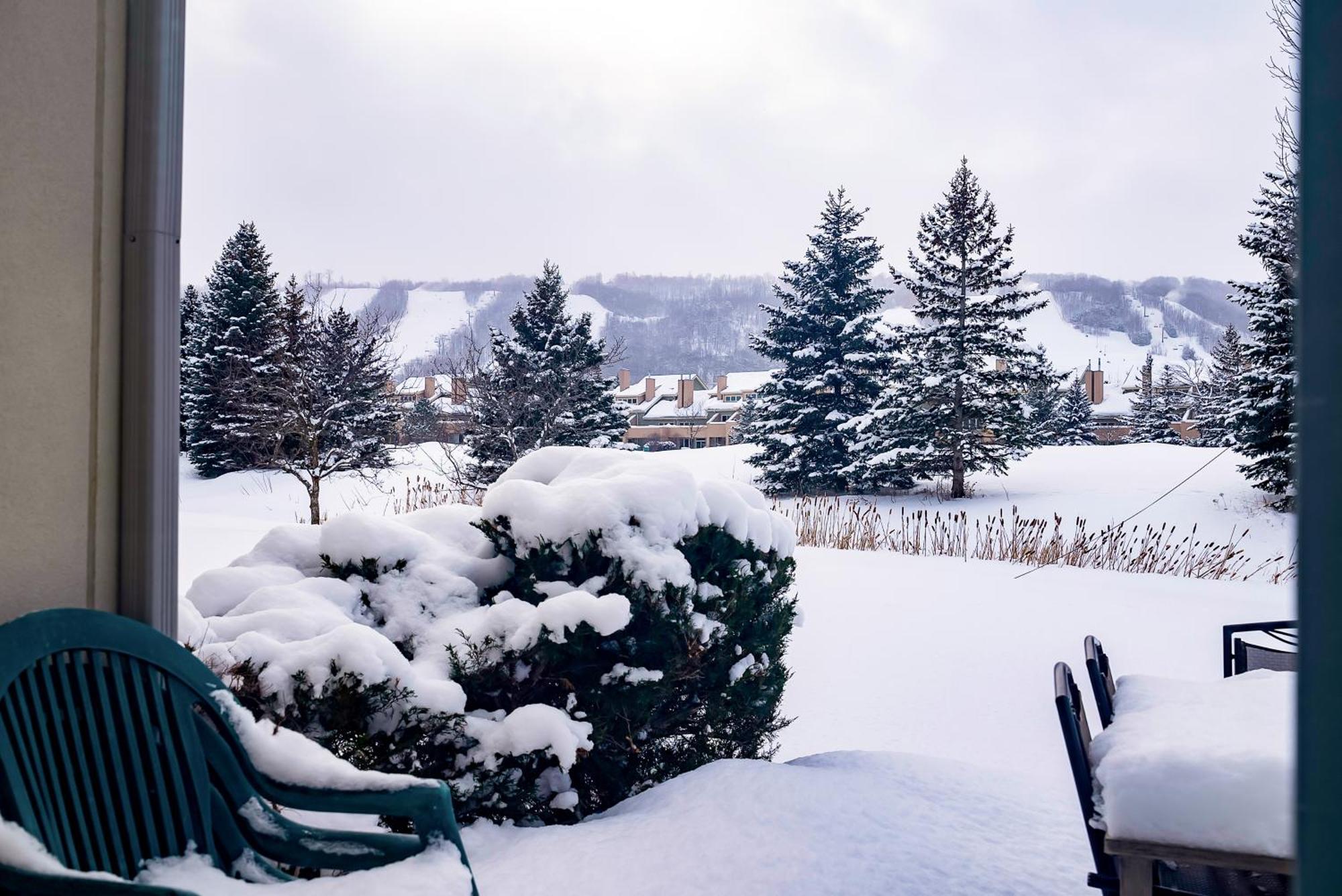 Luxurious Blue Mountain 3br & 3bth Walk-in To Village * Blue Mountains