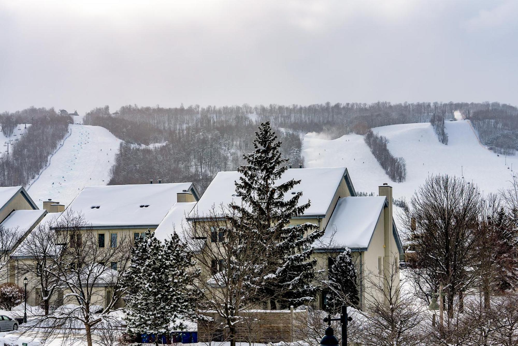 Luxurious Blue Mountain 3br & 3bth Walk-in To Village * Blue Mountains