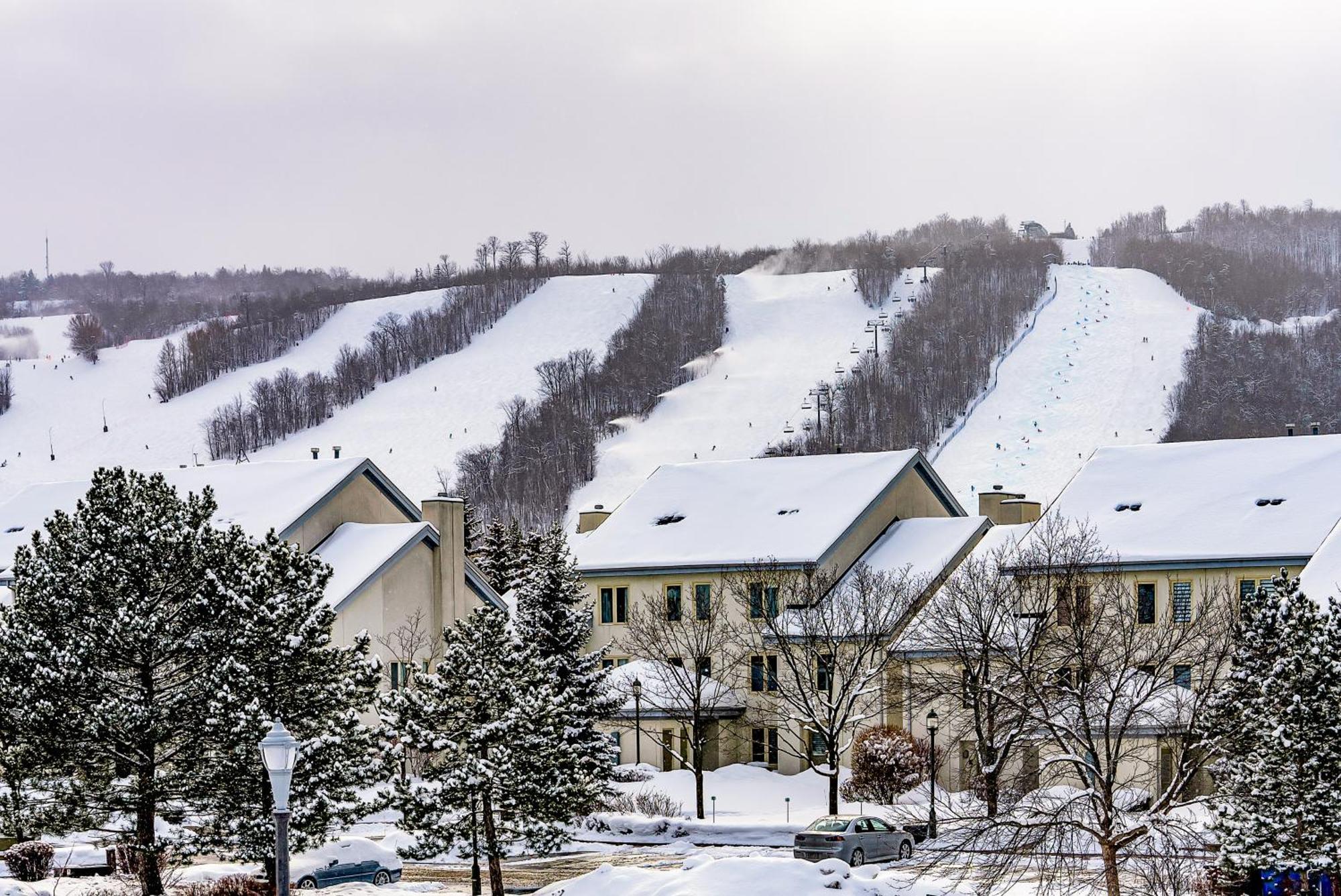 Holiday home Luxurious Blue Mountain 3br & 3bth Walk-in To Village *