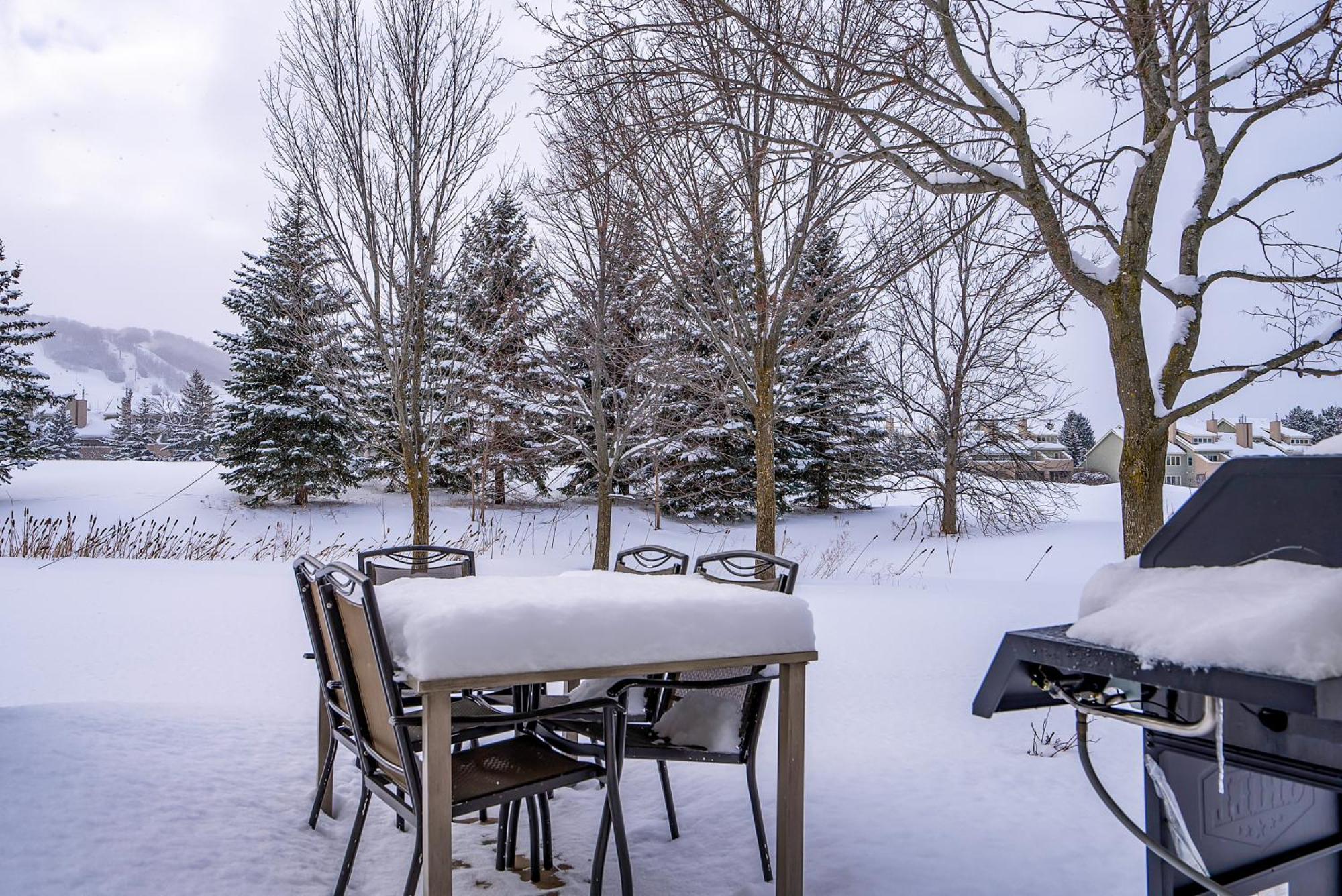 Luxurious Blue Mountain 3br & 3bth Walk-in To Village *