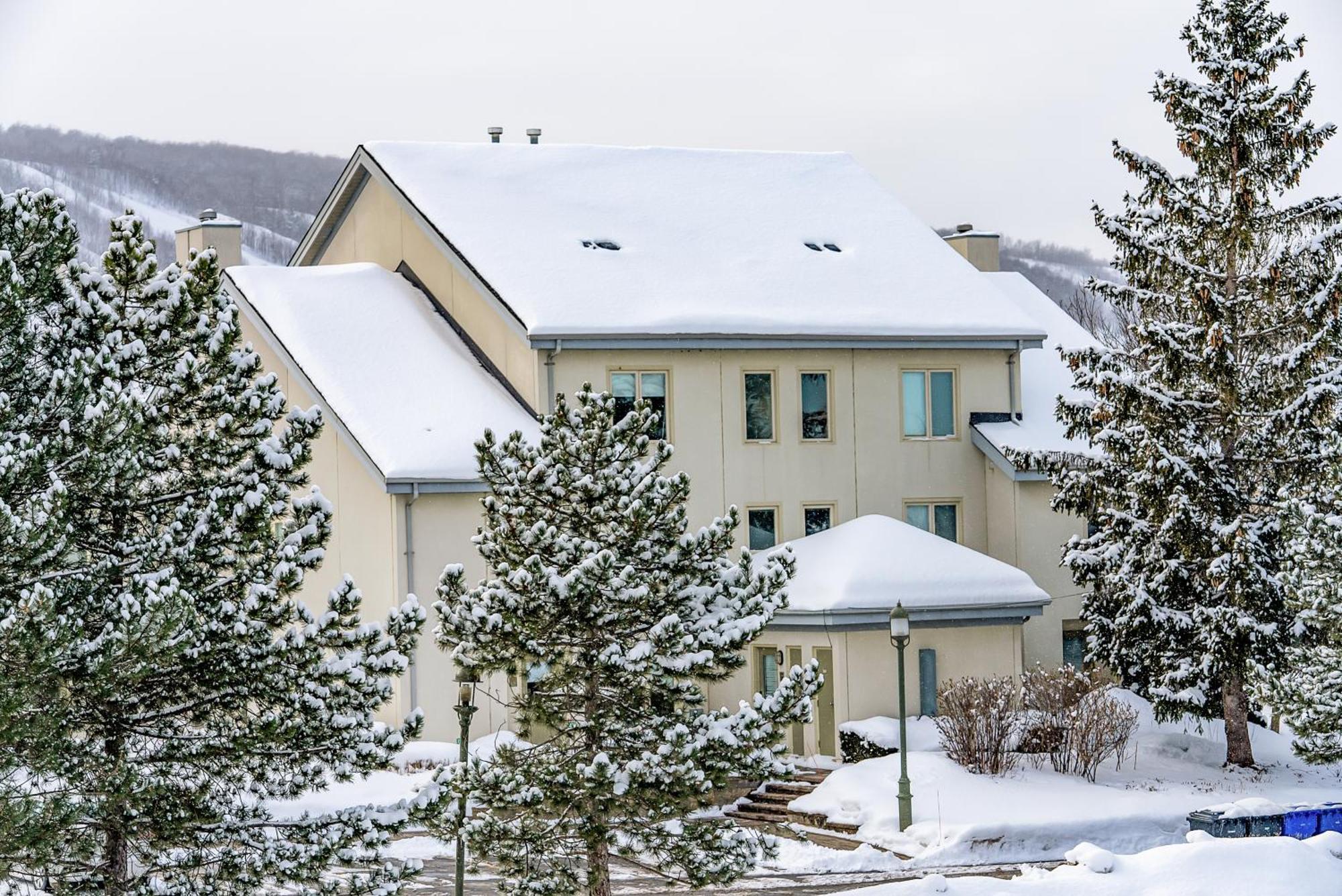 Holiday home Luxurious Blue Mountain 3br & 3bth Walk-in To Village Blue Mountains