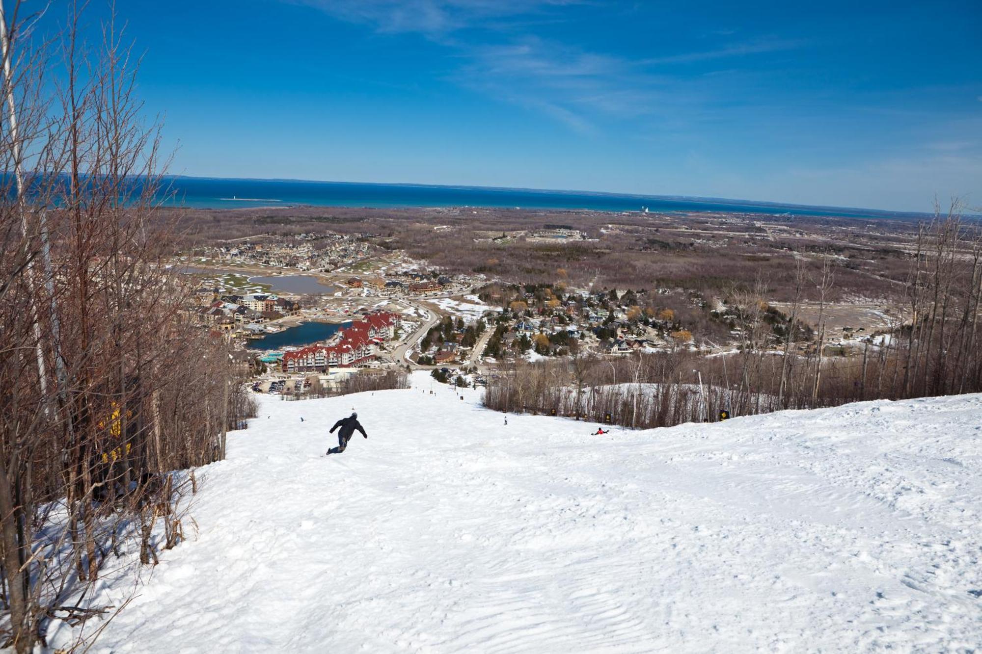Wintergreen Blue Mountains