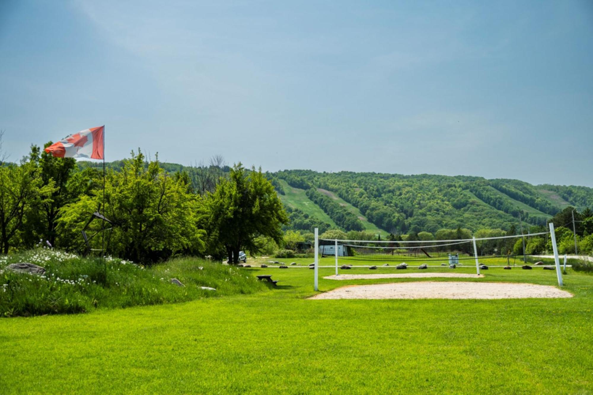 4 Bedroom Blue Mountain Near The Village, Private Access, Petfriendly Chalet