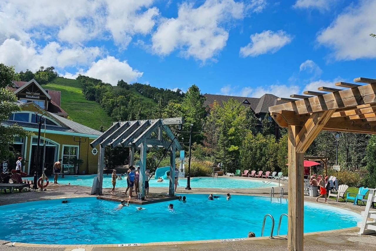 Just Steps From Blue With The Perfect View - 7br Chalet Blue Mountains