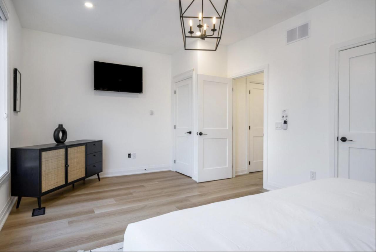 The Luxury Black Rose At The For 20 Blue Mountains