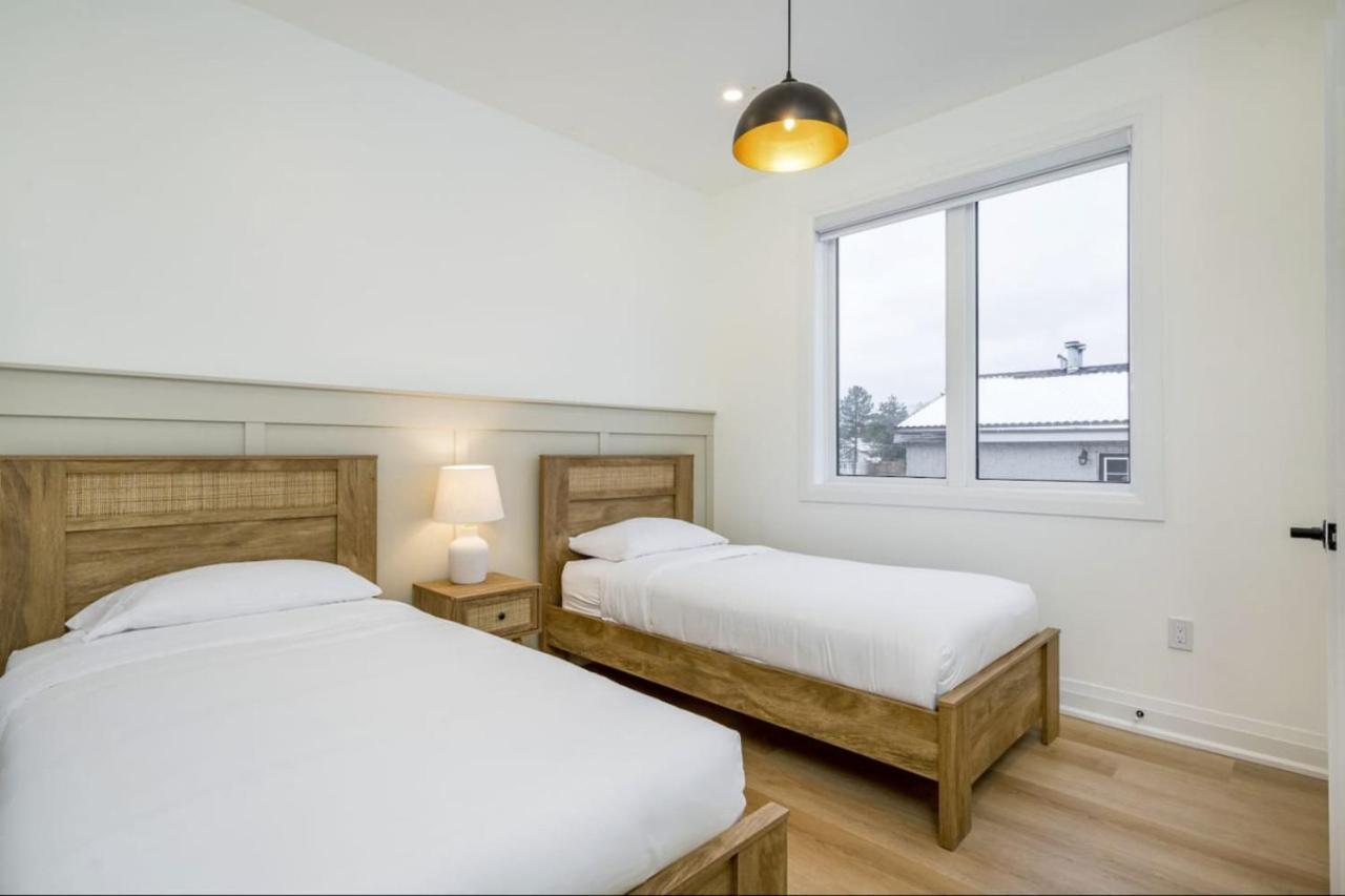 The Luxury Black Rose At The For 20 *