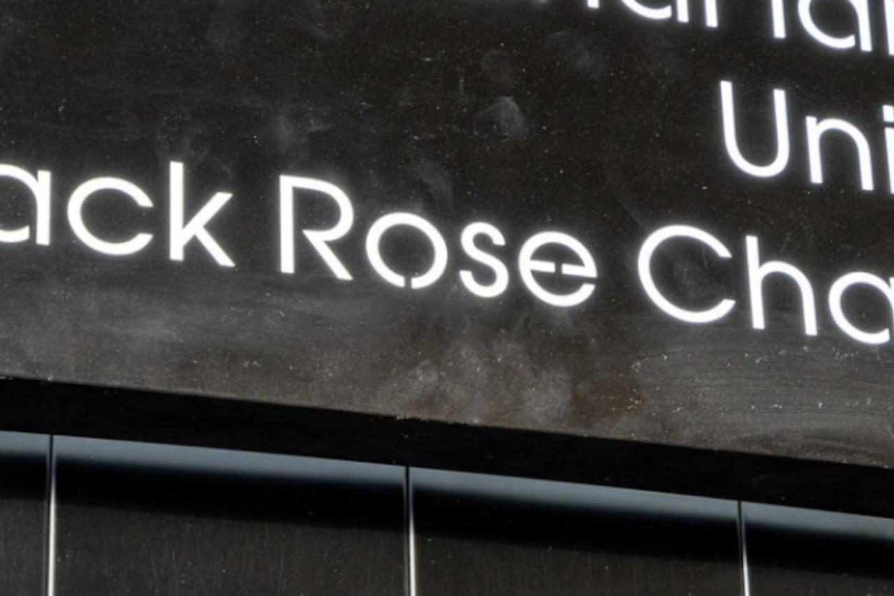 The Luxury Black Rose At The For 20