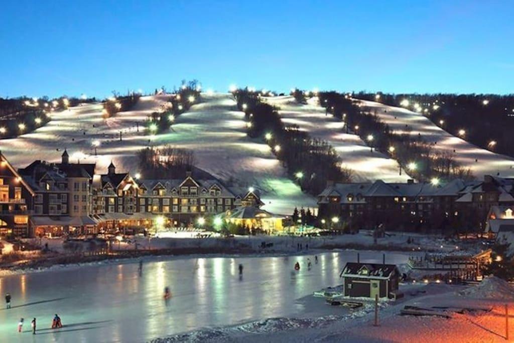 Blue Mountain Suites Blue Mountains